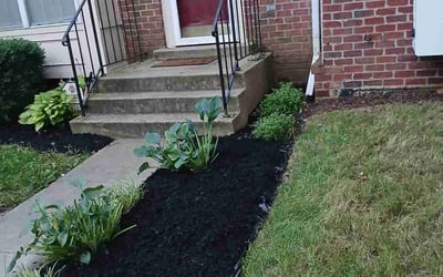 Photo of Stacey C.'s yard after getting landscaping in Bowie, MD