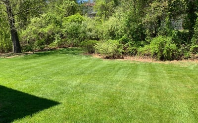 Photo of Lisa B.'s yard after getting landscaping in Canton, CT