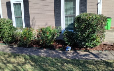 Photo of Brent H.'s yard after getting landscaping in Leeds, AL