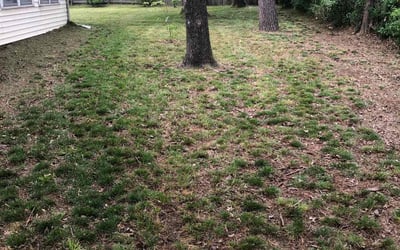 Photo of Valerie S.'s yard after getting landscaping in Wagoner, OK