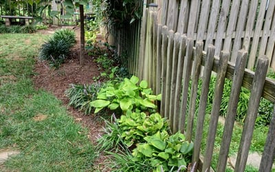 Photo of Michael S.'s yard after getting landscaping in Benedict, MD