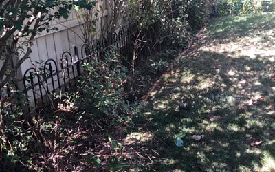 Photo of Christopher R.'s yard after getting landscaping in Piqua, OH