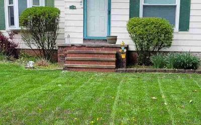 Photo of Linda S.'s yard after getting landscaping in Independence, OH