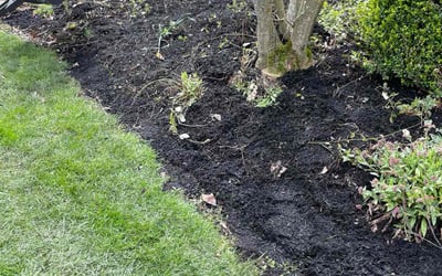 Photo of Cheryl K.'s yard after getting landscaping in Baltimore, OH