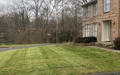 Photo of Matthew B.'s yard after getting landscaping in Latonia, KY