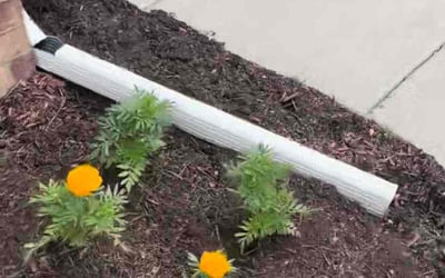 Photo of Stephanie S.'s yard after getting tree care in Milford, MI