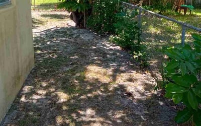 Photo of Mark F.'s yard after getting landscaping in North Miami Beach, FL
