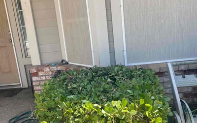 Photo of Diane G.'s yard after getting landscaping in Camino, CA