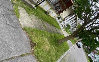 Photo of Peggy R.'s yard after getting landscaping in Cicero, NY