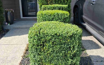 Photo of Andrew P.'s yard after getting landscaping in Snohomish, WA