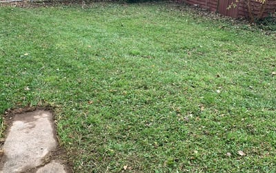 Photo of Jay P.'s yard after getting landscaping in Oregonia, OH
