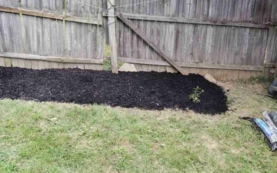 Photo of Renee J.'s yard after getting landscaping in Penns Grove, NJ