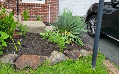 Photo of Terri C.'s yard after getting landscaping in Bristow, VA