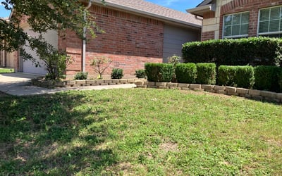 Photo of Jessica S.'s yard after getting landscaping in Hurst, TX