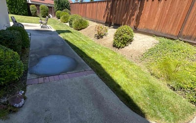 Photo of John C.'s yard after getting landscaping in Danville, CA