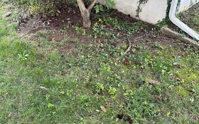 Photo of Tracey A.'s yard after getting landscaping in Oxon Hill, MD