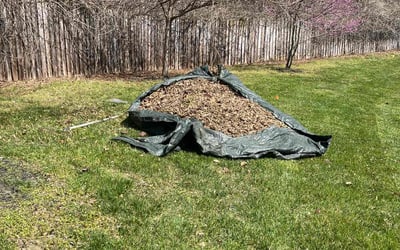 Photo of Talaya C.'s yard after getting landscaping in Bluemont, VA