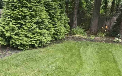Photo of Mike B.'s yard after getting landscaping in Medford, NJ