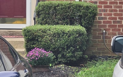 Photo of Stacey C.'s yard after getting landscaping in Dowell, MD