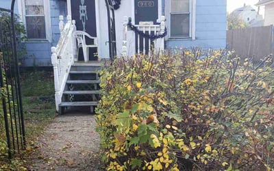 Photo of Donna C.'s yard after getting landscaping in Bethel, MN