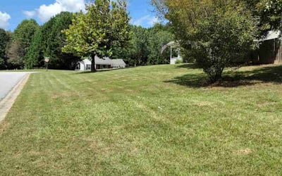 Photo of Marce N.'s yard after getting lawn care in Loganville, GA