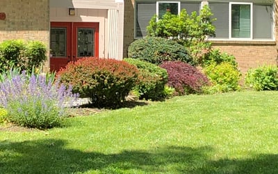 Photo of TaRae M.'s yard after getting lawn care in Oakton, VA
