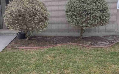 Photo of James H.'s yard after getting landscaping in La Place, LA