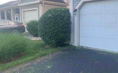 Photo of Kelly G.'s yard after getting landscaping in New Lexington, OH