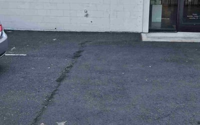 Photo of Judy R.'s yard after getting tree care in Seattle, WA