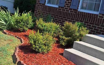 Photo of Stacey C.'s yard after getting landscaping in Glenn Dale, MD