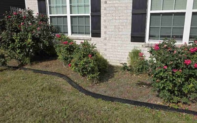 Photo of William H.'s yard after getting landscaping in Columbus, GA
