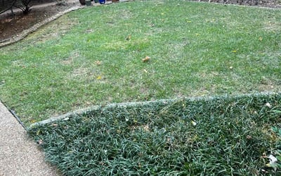 Photo of Georgine P.'s yard after getting landscaping in Fairview, TN