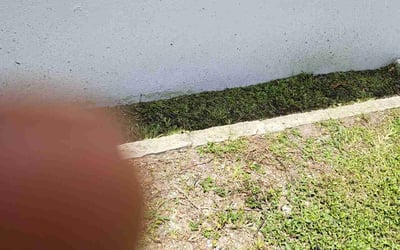 Photo of Maria C.'s yard after getting landscaping in Miami, FL