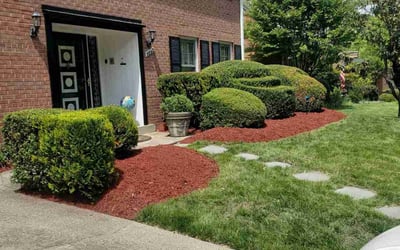 Photo of Arnold Thomas B.'s yard after getting landscaping in Sumerduck, VA
