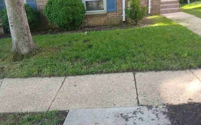 Photo of Nancy P.'s yard after getting landscaping in Beltsville, MD
