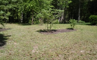Photo of Julie M.'s yard after getting landscaping in Manakin Sabot, VA