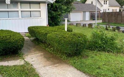 Photo of Holly B.'s yard after getting landscaping in Plainfield, IN