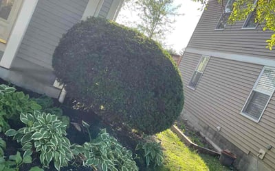 Photo of Kelly G.'s yard after getting landscaping in Brownsville, OH