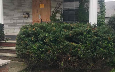 Photo of Barbara J.'s yard after getting landscaping in Wilkes Barre, PA