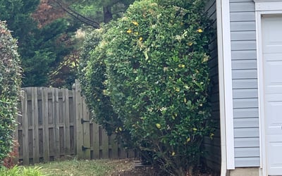 Photo of Kristy S.'s yard after getting landscaping in Cleveland, NC