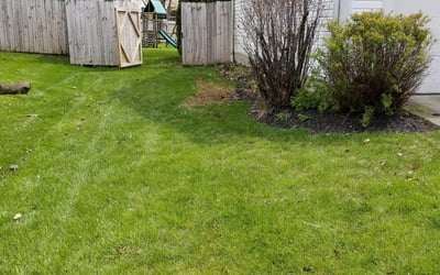Photo of Ashley P.'s yard after getting landscaping in Stoutsville, OH