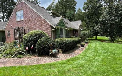 Photo of Kenneth H.'s yard after getting tree care in Alpharetta, GA