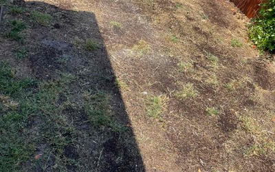 Photo of Roxanne B.'s yard after getting landscaping in Fontana, CA