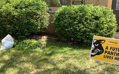 Photo of Gina J.'s yard after getting landscaping in Delafield, WI