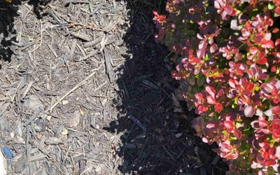 Photo of Kimberly S.'s yard after getting landscaping in Somerset, OH