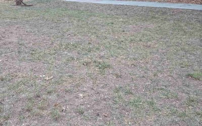 Photo of Jennie F.'s yard after getting landscaping in Osawatomie, KS