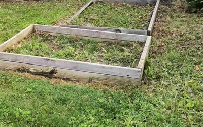 Photo of Rachel M.'s yard after getting landscaping in Stow, OH