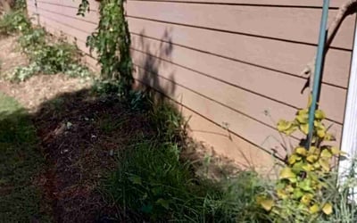 Photo of Gordon M.'s yard after getting landscaping in Red Oak, GA