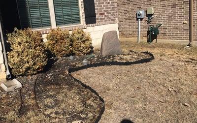 Photo of Karen L.'s yard after getting tree care in Garland, TX