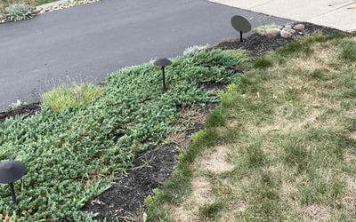 Photo of David S.'s yard after getting landscaping in Rockbridge, OH